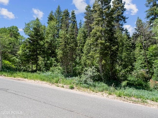 730 Parkview Dr, Park City, UT 84098
