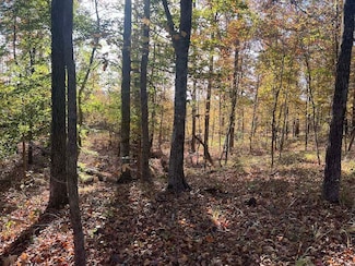 000 Sulpher Springs Rd Unit LotWP001, Pine Bluff, AR 71603