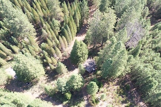 18655 Seclusion Dr, Montgomry Crk, CA 96065