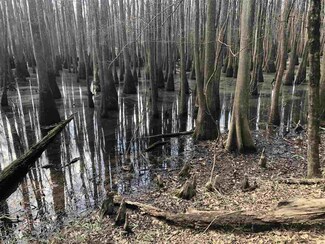 0 S Highway 28 Unit 1316723, Georgetown, MS 39078