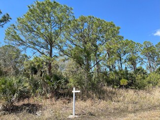 0 Hamerton Rd Unit Lot 6 MFRC7505505, North Port, FL 34288