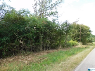 1409 Creswell Rd, Harpersville, AL 35078