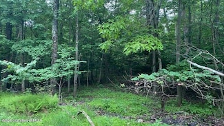 263 Buck Fever Trail, Pocono Township, PA 18355