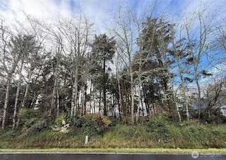 399 Duck Lake Dr NE, Ocean Shores, WA 98569