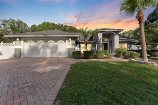 15123 Bald Eagle St, Tampa, FL 33625