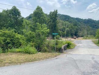 0 Dry Fork Rd, Vansant, VA 24656