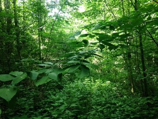 0 Mcfarland Rd Unit 10030171, Tompkinsville, KY 42167