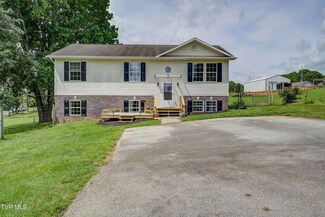 312 Stockyard Rd, Telford, TN 37690