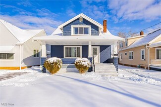3910 Walter Ave, Cleveland, OH 44134