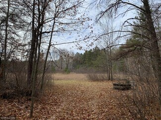 xxx 257th Ave, Jevne Township, MN 55760