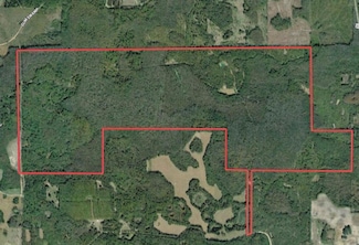 1268 NW White Wing Dove Dr, Greenville, FL 32331
