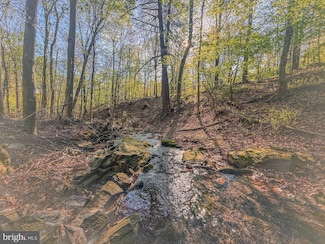 0 LOT #1 Cornman Ln, Tyrone Township, PA 17040