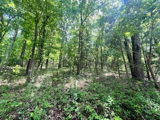 TBD Missouri Line Rd, Mammoth Spring, AR 72554