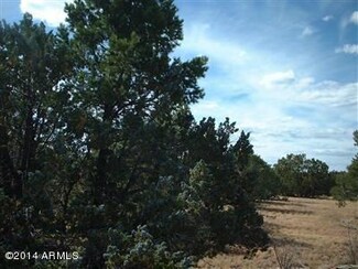 7546 N Ponderosa Ave Unit 208, Williams, AZ 86046