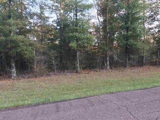 04 Country Club Rd Unit Tract 4, Forest, MS 39074