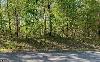 Lot 57 Fires Creek Rd, Hayesville, NC 28904