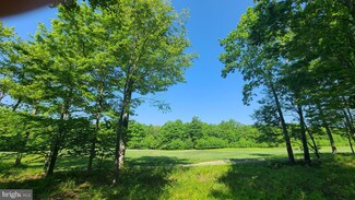20 Fern Loop, Sang Run, MD 21541