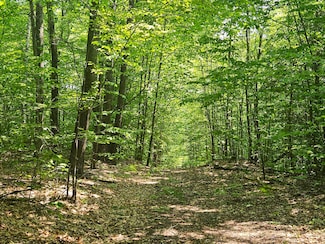 Lot 023-A Oak Hill Rd, Temple, ME 04984