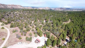 160 Black Bear Rd, Ramah, NM 87321