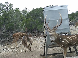 TBD W Nueces Ranch Lot 20, Rocksprings, TX 78880