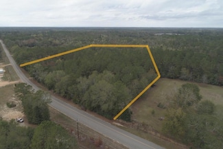 9.3 +/- Acres Airport Rd, Andalusia, AL 36421