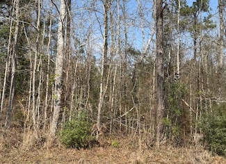 0 Doctor Brown Rd, Deridder, LA 70634