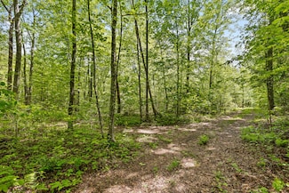 10 Acres Blaine Smith Rd, Graysville, TN 37338