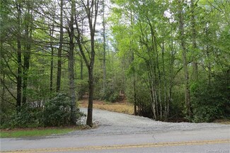 8160 Cascade Lake Rd, Cedar Mountain, NC 28718