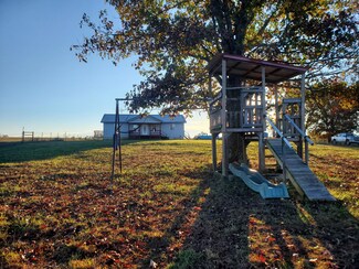 199 Limbhanger Dr, Squires, MO 65755