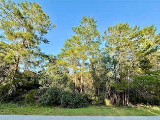 LOT 6 Aspen St, Eustis, FL 32736