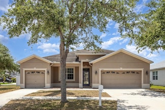 11621 Ashton Field Ave, Riverview, FL 33579