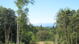 38766 Tinker Place NE, Hansville, WA 98340
