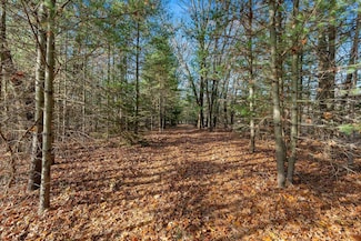 0 Eagle Rd Unit 50318094, Neshkoro, WI 54960