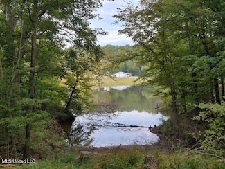 0 Lakeview Dr Unit 4129686, Yazoo City, MS 39194