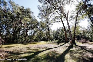 0 Lager St, Brooksville, FL 34602
