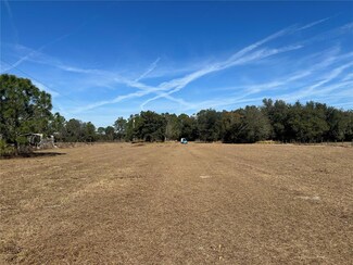 8164 Lake Nellie Rd, Clermont, FL 34714