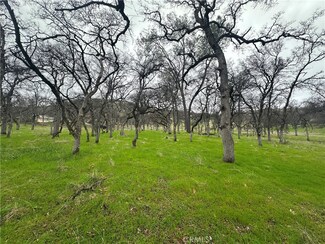 0 Royal Mountain Rd, Butte Valley, CA 95965