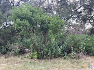 1652 Comfort, Canyon Lake, TX 78133