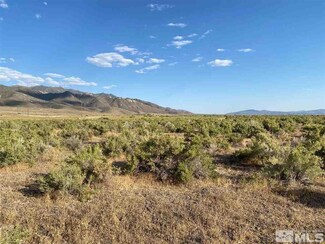 22135 Topaz Lake Ln Unit 68, Lovelock, NV 89419