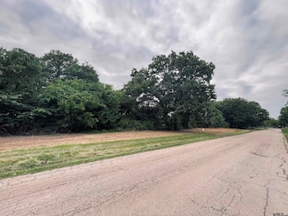 LOT 6 Leach Woods East Cr 1560, Alba, TX 75410