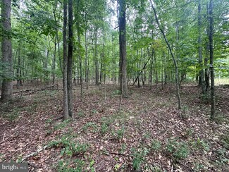 0 Rockford Rd Unit WVMO2004818, Great Cacapon, WV 25422