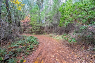 0 Kentucky Flat Rd Unit 225140786, Georgetown, CA 95634