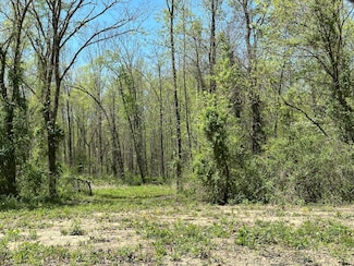 1A Clay Camp Rd, Hitchins, KY 41146