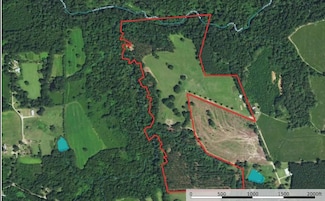 26383 Firetower Rd, Mount Hermon, LA 70450