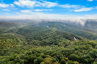 000 Pine Top Rd, Hollister, MO 65672