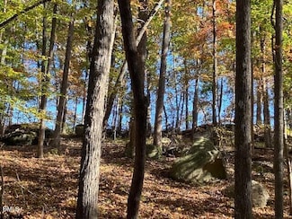 9 Buttonwood Ln, Roxboro, NC 27574