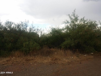 XXXX Florida Ave, Douglas, AZ 85607