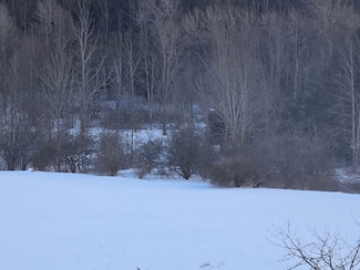 0WP State Route 28 Unit LotWP002, Columbia, NY 13439