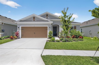 6218 Hidden Branch Dr, Apollo Beach, FL 33572