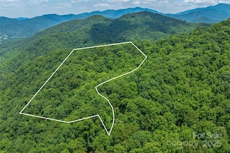 99999 Countryside Estate, Barnardsville, NC 28709